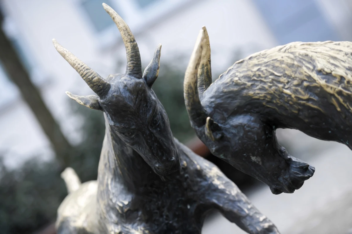 W Poznaniu nie milkną echa po remoncie placu Kolegiackiego na Starym Mieście. Po trwających kilka lat pracach, na miasto wylała się fala krytyki, zwłaszcza po zapowiedziach sprzed rozpoczęcia inwestycji. Internauci zarzucają autorom projektu „zabetonowanie” placu przed Urzędem Miasta i pozbawienie go kilku drzew oraz trawiastego skweru. Urzędnicy odpowiadają tymczasem w mediach społecznościowych, że zarzuty pod ich adresem to efekt „manipulacji”. 