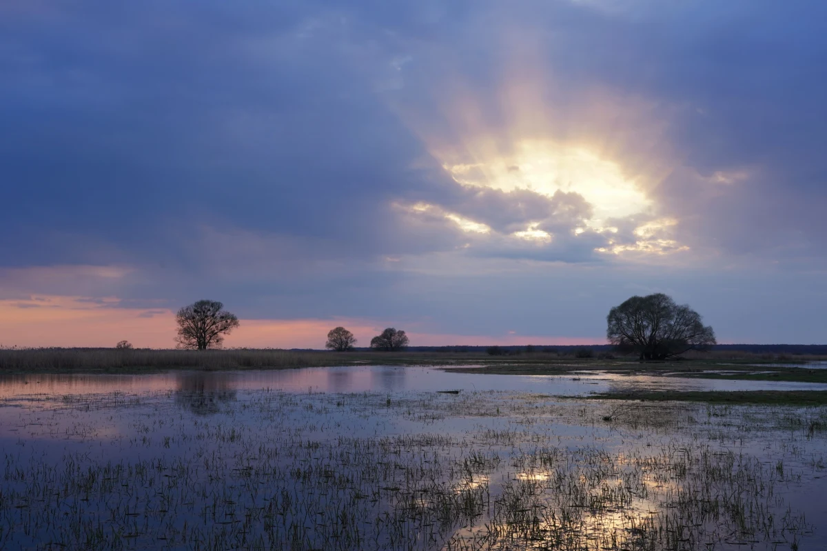 Przed wezbraniem wód z przekroczeniem stanów alarmowych na północy Polski ostrzega Instytut Meteorologii i Gospodarki Wodnej. Alerty dotyczą wybrzeża wschodniego, woj. warmińsko-mazurskiego i podlaskiego. 