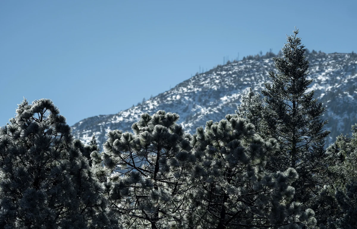 W środę można się spodziewać dodatniej temperatur - nawet do 11 stopni. Niestety, w całym kraju będzie pochmurno i deszczowo. Wszystko przez przemieszczający się nad Polską front atmosferyczny.