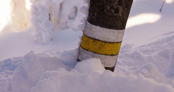 W Bieszczadach powyżej górnej granicy lasu nadal obowiązuje drugi - w pięciostopniowej, rosnącej skali - stopień zagrożenia lawinowego - poinformował w czwartek ratownik dyżurny bieszczadzkiej grupy GOPR Jakub Dąbrowski.