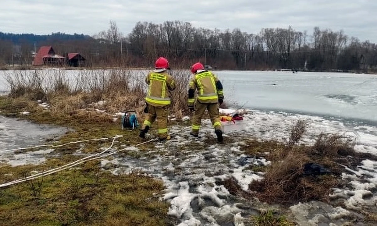 ​O krok od tragedii. W Temeszowie pod wędkarzami załamał się lód na stawie. Interweniowali strażacy.
