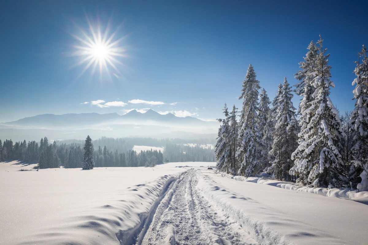 Goprowcy z grupy podhalańskiej opublikowali komunikat, w którym ostrzegają o zagrożeniu lawinowym w Pieninach. „ Ze względu na opad deszczu i ocieplenie można spodziewać się wystąpienia zjawisk lawinowych w stromych miejscach, gdzie wcześniej nastąpiła zwiększona akumulacja śniegu” – piszą.