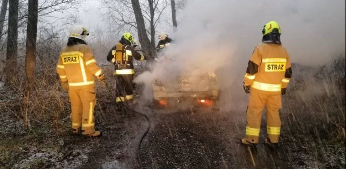 Policja i prokuratura badają sprawę makabrycznego odkrycia w lesie koło Siedlec. W pobliżu miejscowości Mordy znaleziono spalony samochód, a w środku zwęglone zwłoki mężczyzny.