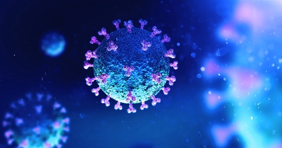 W badaniach na zwierzętach naukowcy potwierdzili wysoką skuteczność wdychanej szczepionki przeciwko SARS-CoV-2. Preparat wywołuje odporność już w układzie oddechowym, a przy tym działa na kilka elementów wirusa jednocześnie.