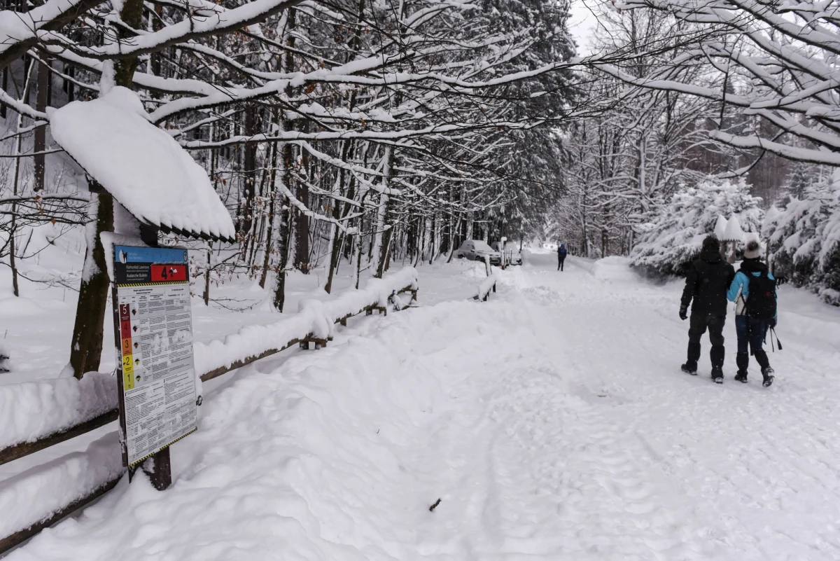 W Tatrach od 14 lutego zamknięty został czarny szlak dojściowy do Lodowego Źródła w Dolinie Kościeliskiej. Będzie on nieczynny dla turystów do odwołania.