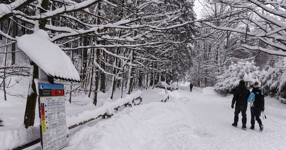 W Tatrach od 14 lutego zamknięty został czarny szlak dojściowy do Lodowego Źródła w Dolinie Kościeliskiej. Będzie on nieczynny dla turystów do odwołania.
