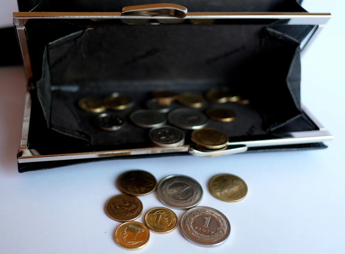 Ponad połowa pracowników nie otrzymała podwyżek w ubiegłym roku, a spośród tych, którzy je dostali, 41 proc. uważa, że wzrost był mniejszy niż się spodziewali - wynika z "Monitora Rynku Pracy” Instytutu Badawczego Randstad. W najbliższym czasie podwyżek spodziewa się połowa pracujących.