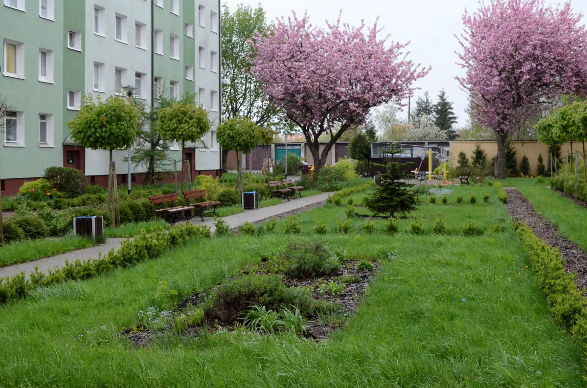 Do 1 marca potrwa nabór wniosków do tegorocznej edycji programów Zielone Podwórka i Przedogródki Szczecina. O dofinansowanie remontów terenów wokół swoich budynków mogą się starać wspólnoty mieszkaniowe. Nabór wniosków prowadzi Zarząd Budynków i Lokali Komunalnych w Szczecinie.