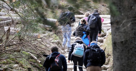 Dzisiaj otwarto drogę do Morskiego Oka w Tatrach, a jutro będzie można dojść także do Doliny Pięciu Stawów Polskich - poinformował Tatrzański Park Narodowy. Oba szlaki zostały zamknięte niemal dwa tygodnie temu ze względu na duże zagrożenie lawinowe. Dojście do Pięciu Stawów trzeba było dodatkowo uprzątnąć z drzew, które zsunęły się na szlak wraz z lawinami.