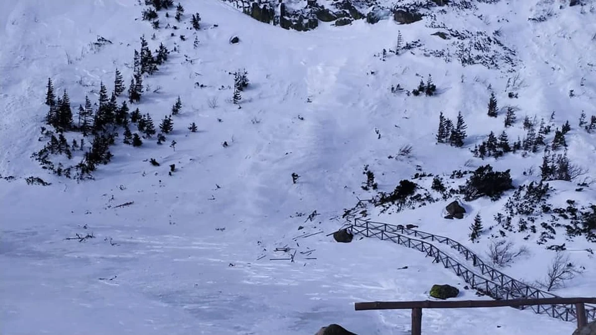 Grupa Karkonoska Górskiego Ochotniczego Pogotowia Ratunkowego poinformowała dziś o zejściu lawin w Kotle Małego Stawu. Na szczęście nie było poszkodowanych. Zniszczone zostały barierki przy szlaku.