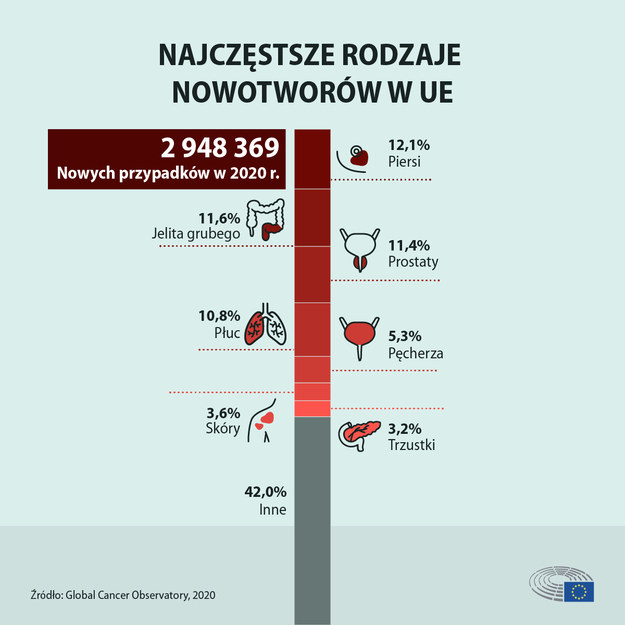 /Parlament Europejski /