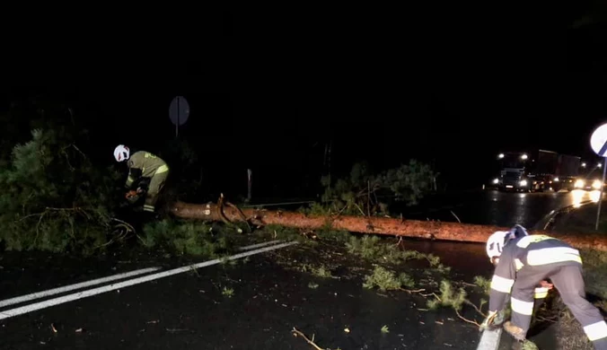 Ofiara śmiertelna, uszkodzone budynki, brak prądu. Skutki wichur nad Polską