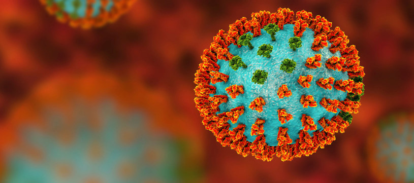 Naukowcy podzielili się wynikami nowych badań, z których wynika, że za tajemniczą “grypę" panoszącą się ponad 100 lat temu na terenie Rosji, a potem także w wielu innych krajach, mógł odpowiadać koronawirus bardzo podobny do SARS-CoV-2.