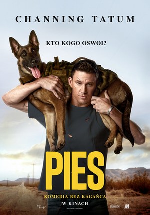 Pies