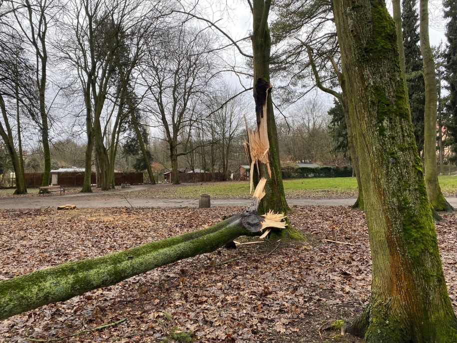 /Aneta Łuczkowska /RMF FM