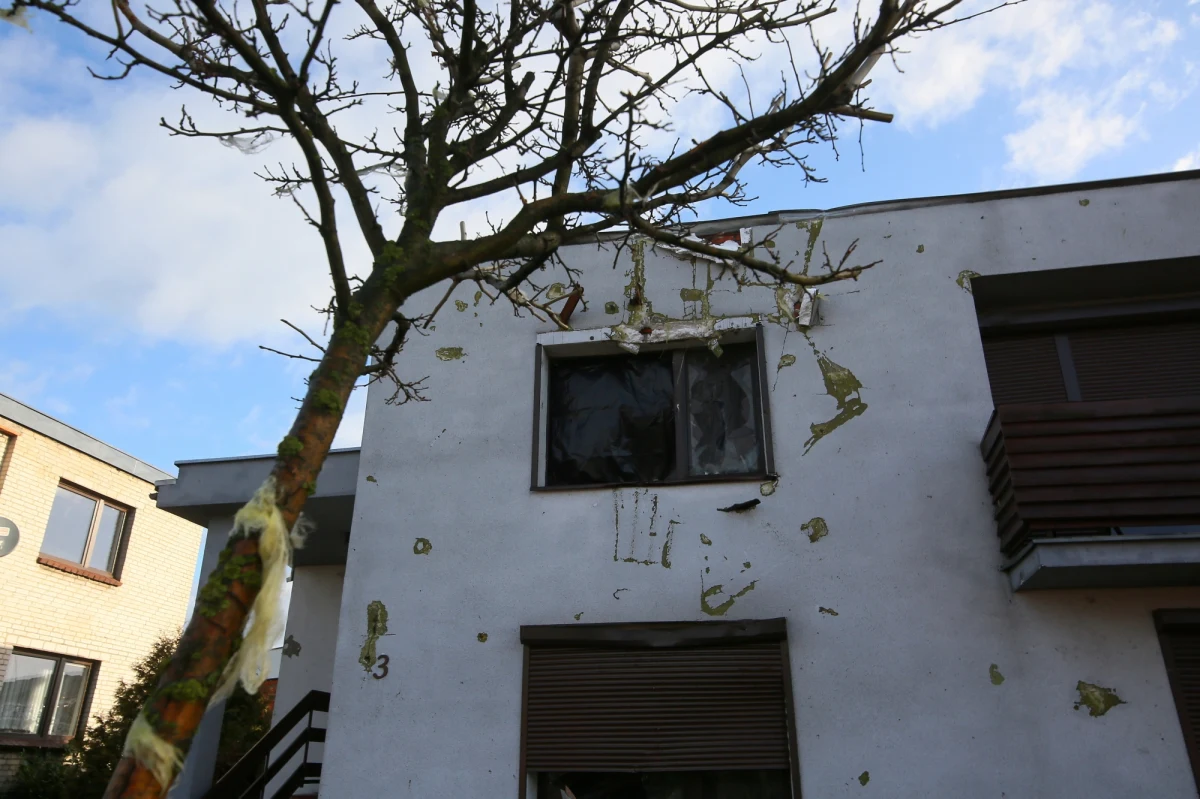 Kilka uszkodzonych dachów budynków mieszkalnych i gospodarczych, powalone drzewa, zerwane linie energetyczne - to skutki wichury, jaka w nocy przeszła nad regionem. W związku z silnym wiatrem straż pożarna interweniowała na Dolnym Śląsku blisko 270 razy.