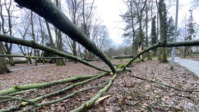 Lubelszczyzna. Wichury, straż interweniowała kilkadziesiąt razy 