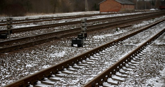 Ruch pociągów między Goleniowem a Szczecinem-Dąbie został wstrzymany. Na sieć trakcyjną spadły powalone przez wiatr drzewa - poinformował rzecznik prasowy PKP PLK Bartosz Pietrzykowski.
