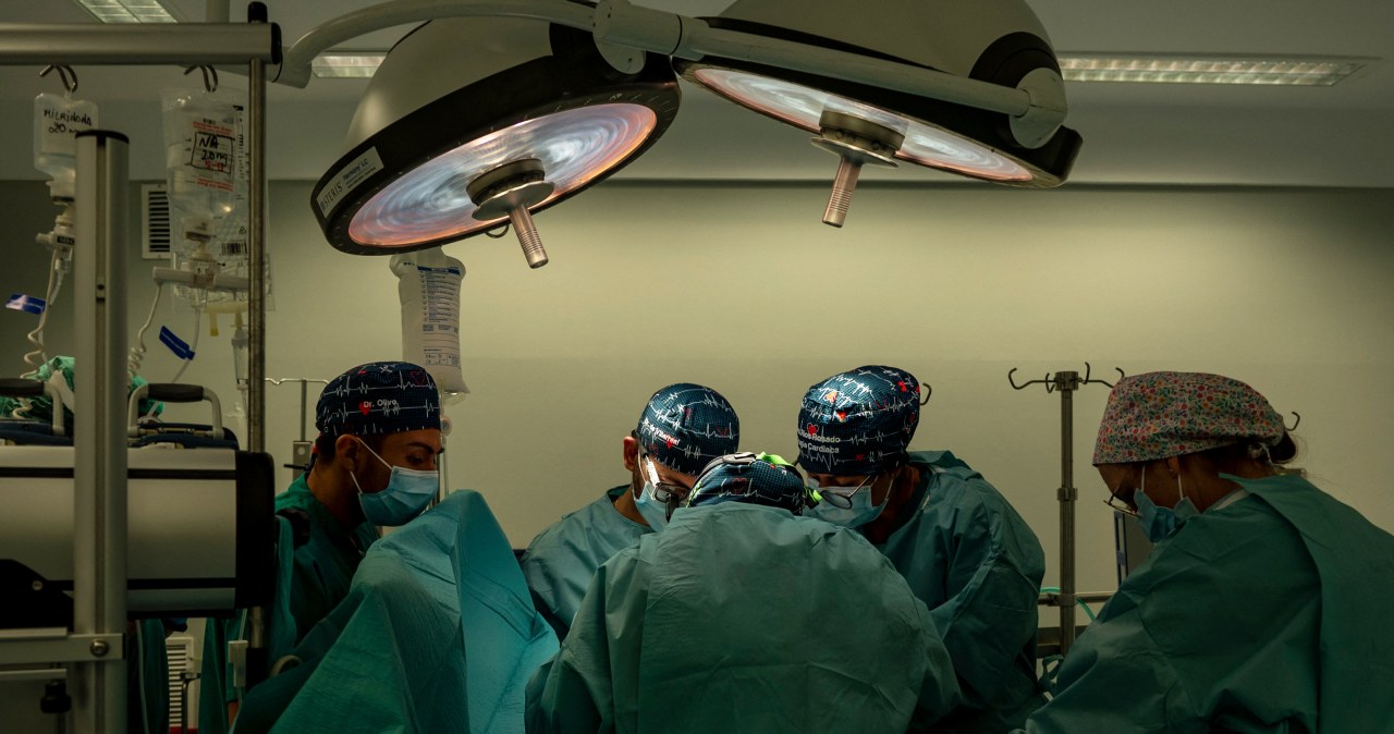 Przeszczepili świńską wątrobę żyjącemu pacjentowi. Żył z nią 38 dni