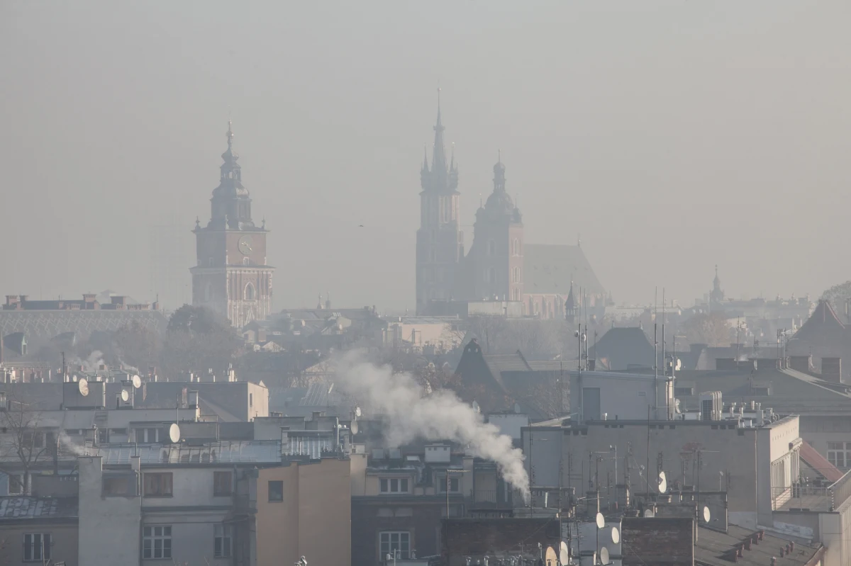 W Krakowie będzie można uzyskać dotację na ocieplenie budynków i wymianę starych, nieefektywnych pieców. Na ten cel w ciągu trzech lat przeznaczonych zostanie 50 mln zł. Radni zaakceptowali regulamin programu "Stop smog".

