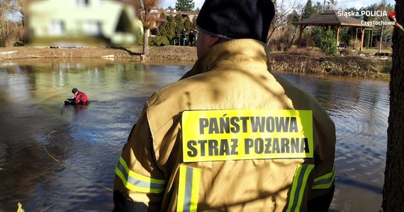 Policjanci, strażacy, a także prywatne osoby, które zareagowały na publikowane w internecie apele uczestniczyły we wznowionej w piątek akcji poszukiwania zaginionych w ubiegłym tygodniu 45-letniej Aleksandry i jej 15-letniej córki Oliwii z Częstochowy. Według ustaleń śledczych obie zostały zamordowane. Taki zarzut usłyszał ich 52-letni znajomy, który w środę został aresztowany. Poszukiwania zostały przerwane do soboty.