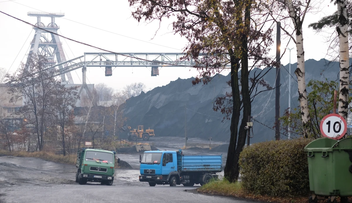 W perspektywie najbliższych 12-13 lat Polska Grupa Górnicza (PGG), która w tym roku dostarczy na rynek ponad 23 mln ton węgla kamiennego, zmniejszy wydobycie surowca o połowę - wynika z informacji spółki, od lutego korzystającej z budżetowego wsparcia na redukcję zdolności produkcyjnych. 