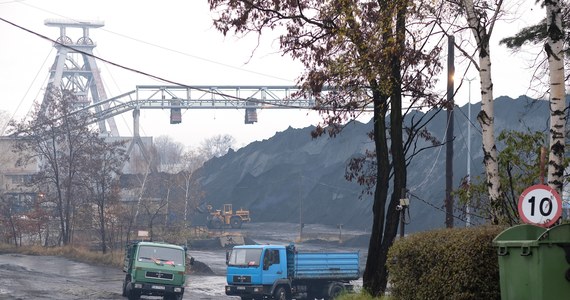 W perspektywie najbliższych 12-13 lat Polska Grupa Górnicza (PGG), która w tym roku dostarczy na rynek ponad 23 mln ton węgla kamiennego, zmniejszy wydobycie surowca o połowę - wynika z informacji spółki, od lutego korzystającej z budżetowego wsparcia na redukcję zdolności produkcyjnych. 