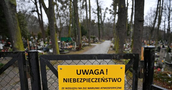 Z powodu porywistego wiatru, do odwołania, zamknięte zostały cmentarze komunalne w Gdańsku. Nie można wejść również na teren Parku Oliwskiego - poinformowała w rzecznik prasowy Gdańskiego Zarządu Dróg i Zieleni Magdalena Kiljan.