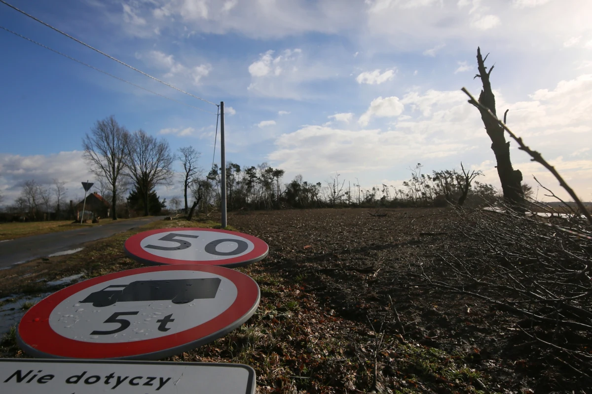 Jedna osoba zmarła po tym, jak rano na drodze krajowej nr 11 w Babim Dworze w powiecie złotowskim (Wielkopolskie) na jadącego busa spadło drzewo - poinformował rzecznik prasowy wielkopolskiej straży pożarnej Sławomir Brandt.