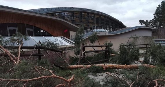 Z powodu wichur, jakie przechodzą nad regionem, w Poznaniu zamknięto Nowe Zoo. W mieście nie działa także około 20 sygnalizacji świetlnych. Strażacy usuwają również połamane gałęzie i drzewa z dróg i torowisk.