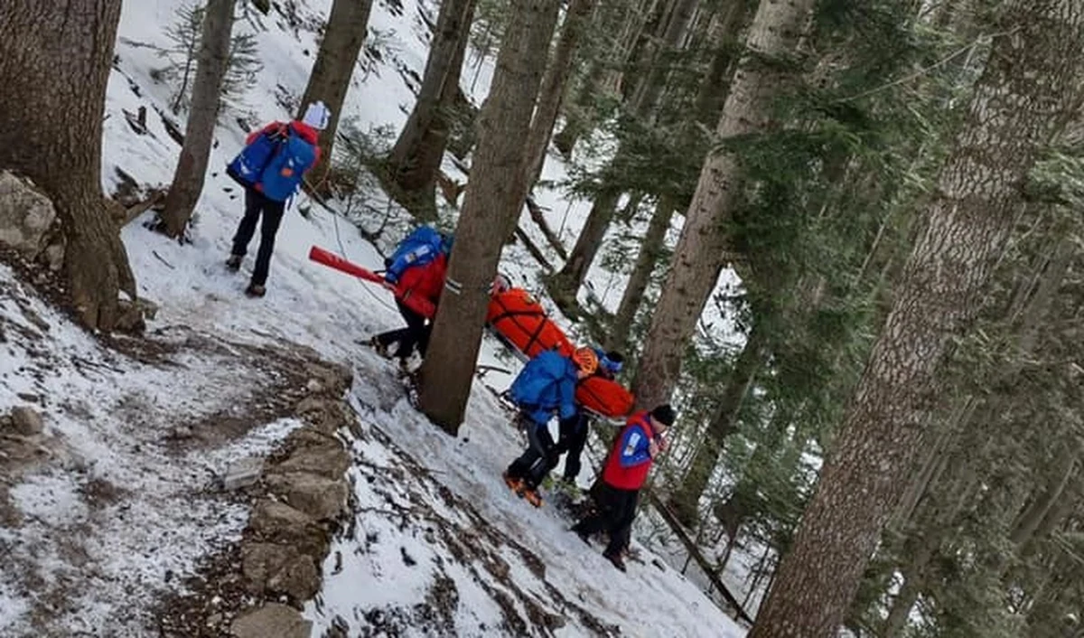 Ratownicy GOPR pospieszyli na pomoc turystce, która uszkodziła nogę upadając na oblodzonym szlaku w Pieninach. W związku z trudnościami terenowymi, goprowcy nie mogli dojechać do poszkodowanej i musieli znosić ja na własnych ramionach. 