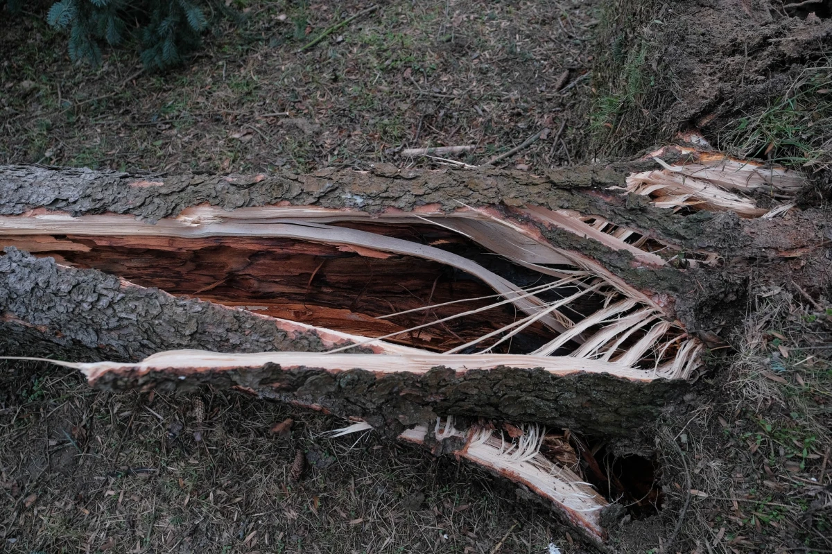 Wojewoda lubelski Lech Sprawka zaapelował do samorządów w regionie o składanie wniosków o zasiłki doraźne dla właścicieli budynków uszkodzonych przez wichurę. "Wnioski będziemy realizować w ciągu kilkunastu godzin, aby jak najszybciej uruchomić pieniądze" - powiedział.