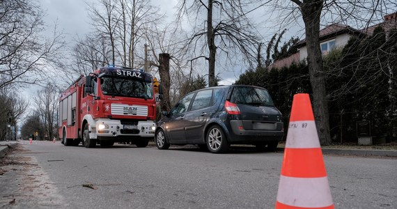 Wojewódzkie Centrum Zarządzania Kryzysowego poinformowało, że w województwie zachodniopomorskim bez prądu pozostaje 55 tys. odbiorców. ​"Najgorsza sytuację mamy w Chojnie, tam nasze służby pracują najciężej, by to napięcie przywrócić. Niepodłączonych mamy jeszcze dziewięć linii wysokiego napięcia i 134 średniego" - poinformowała w niedzielę rzeczniczka prasowa szczecińskiego oddziału Enea Operator Monika Błaszyk.