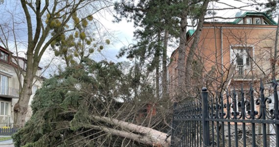 Mieszkańcy 14 województw ponownie otrzymali SMS-y z pogodowym alertem. Rządowe Centrum Bezpieczeństwa ostrzega w niedzielę przed porywistym wiatrem i burzami.