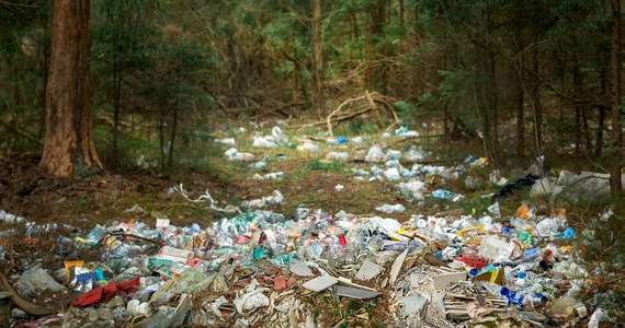 Straż Miejska Miasta Poznania odebrała w ubiegłym roku ponad 18,4 tys. zgłoszeń związanych z ochroną środowiska. Strażnicy ujawnili niemal 1 tys. nielegalnych wysypisk odpadów, a do schroniska przekazali ponad 270 bezpańskich psów i 156 kotów wymagających pomocy człowieka.