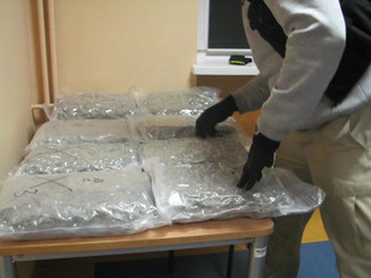 ​115 kilogramów marihuany przejęli policjanci z Grodziska Mazowieckiego. Zatrzymali 44-latka, który przewoził narkotyki gotowe do sprzedaży. Mężczyzna wpadł podczas kontroli drogowej  na autostradzie - uwagę funkcjonariuszy zwrócił specyficzny zapach w samochodzie. 

 