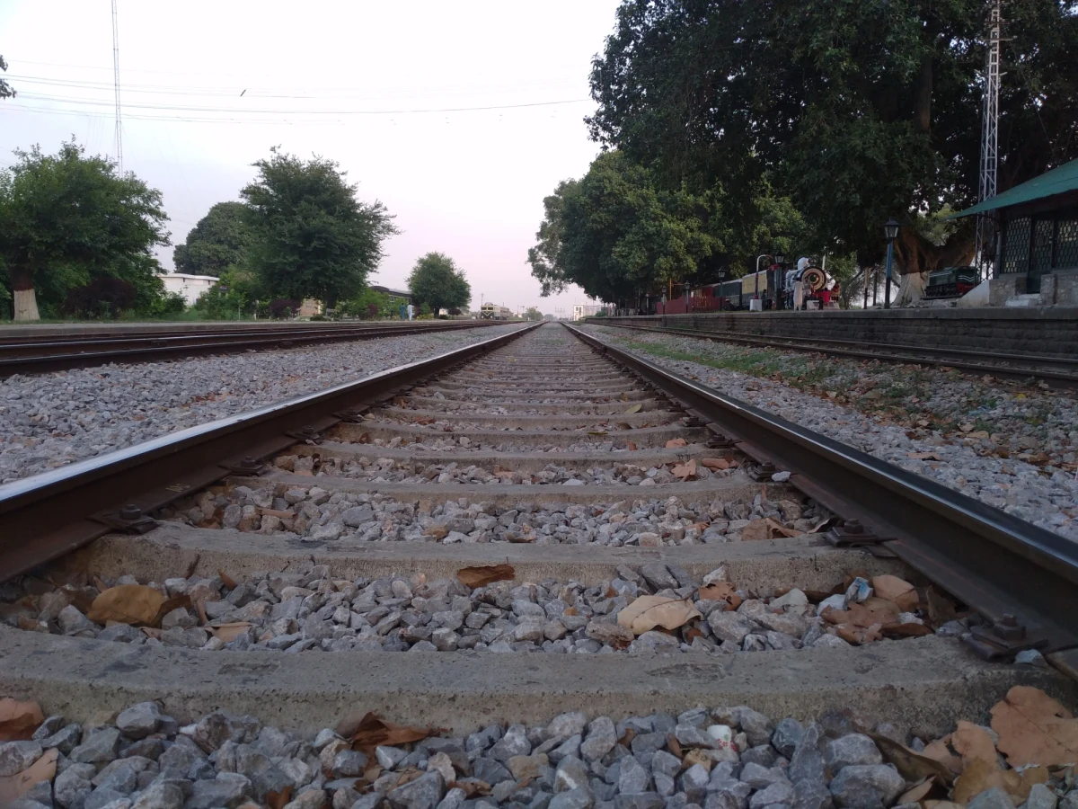 ​Mieszkańcy stołecznej Olszynki Grochowskiej od lat bezskutecznie walczą o stworzenie bezpiecznego przejścia przez tory do pobliskiego rezerwatu. Na początku stycznia w pobliżu tego miejsca pod kołami pociągu zginęła nastolatka. PKP Polskie Linie Kolejowe od półtora roku odmawiają stworzenia kładki lub tunelu.

 