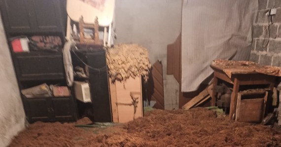 Ponad 7 ton suszu tytoniowego i prawie 400 kg krajanki tytoniowej zabezpieczyli w Małopolsce policjanci i celnicy. Wprowadzenie tych produktów do obrotu spowodowałoby uszczuplenie Skarbu Państwa o cztery miliony złotych.

