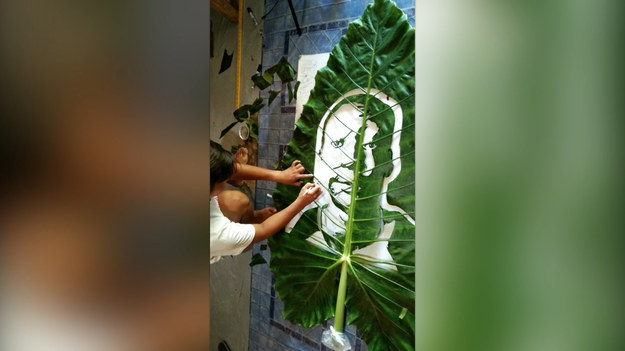 Joneil Severino, 22-latek z Filipin pochwalił się w internecie swoją sztuką. Co w niej wyjątkowego? Mężczyzna jako materiału używa liści rośliny taro. Na zielonym płótnie wycina portrety znanych osób. Efekt wygląda fenomenalnie!