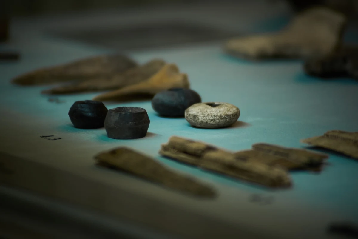 Zabytki sprzed 100 tys. lat, pozostałości po kulturze łużyckiej oraz najstarsze wczesnośredniowieczne ślady. Wszystko to można oglądać na nowej wystawie "Pradzieje Wawelu". Eksponaty wróciły na "do gablot" po przeszło 60 latach. 