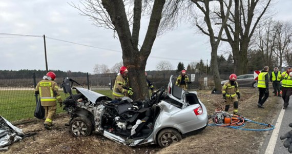 Na drodze krajowej nr 70 w miejscowości Pamiętna (pow. Skierniewicki) doszło dziś do śmiertelnego wypadku. Zginął młody mężczyzna, którego pojazd zjechał do rowu i uderzył w drzewo.