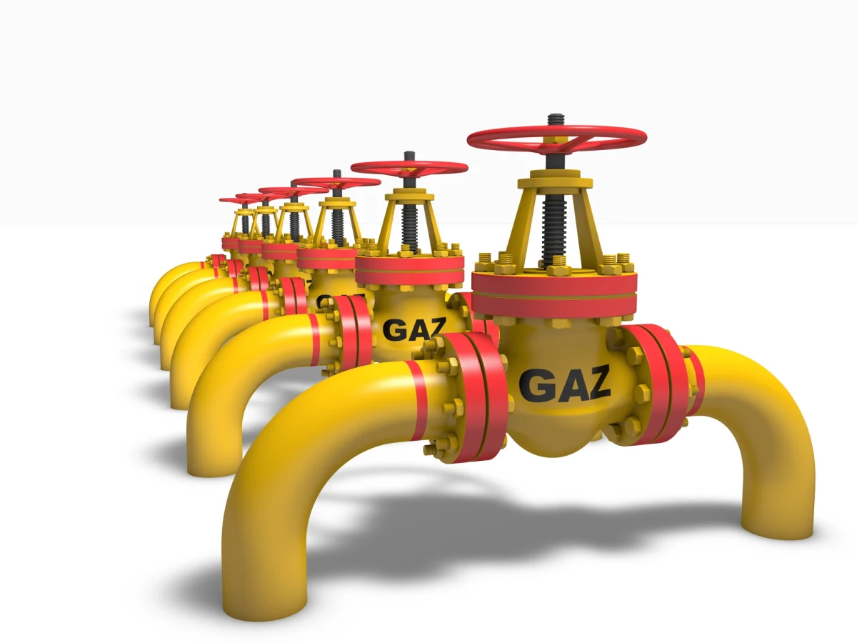 W ciągu ostatnich pięciu lat zbudowaliśmy gazociąg bałtycki do Norwegii i za pół roku, po raz pierwszy od dziesięcioleci, będziemy niezależni od rosyjskiego gazu - powiedział w Wiedniu premier Mateusz Morawiecki po spotkaniu z kanclerzem Austrii Karlem Nehammerem.