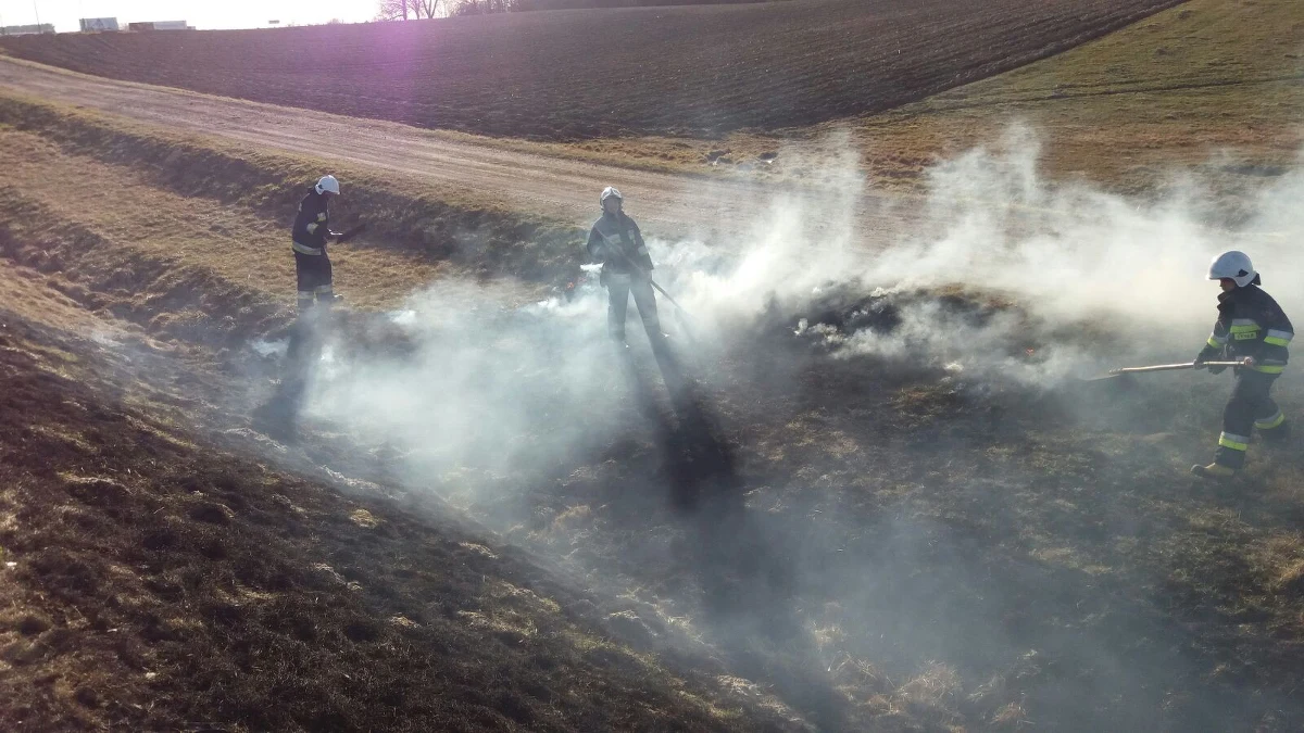 Mimo licznych kampanii i obalania mitów część rolników wciąż jest przekonana, że wypalanie traw wpływa na żyzność gleby. Nie jest to prawda, co więcej za ten proceder grożą surowe kary.
