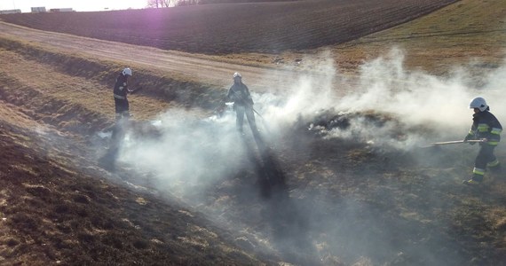 Mimo licznych kampanii i obalania mitów część rolników wciąż jest przekonana, że wypalanie traw wpływa na żyzność gleby. Nie jest to prawda, co więcej za ten proceder grożą surowe kary.
