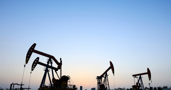 Notowania ropy Brent w czwartek nie zanotowały większych zmian, baryłka kosztuje w granicach 110-113 dolarów. Także notowania amerykańskiej ropy WTI utrzymują się na poziomie 110 dol.