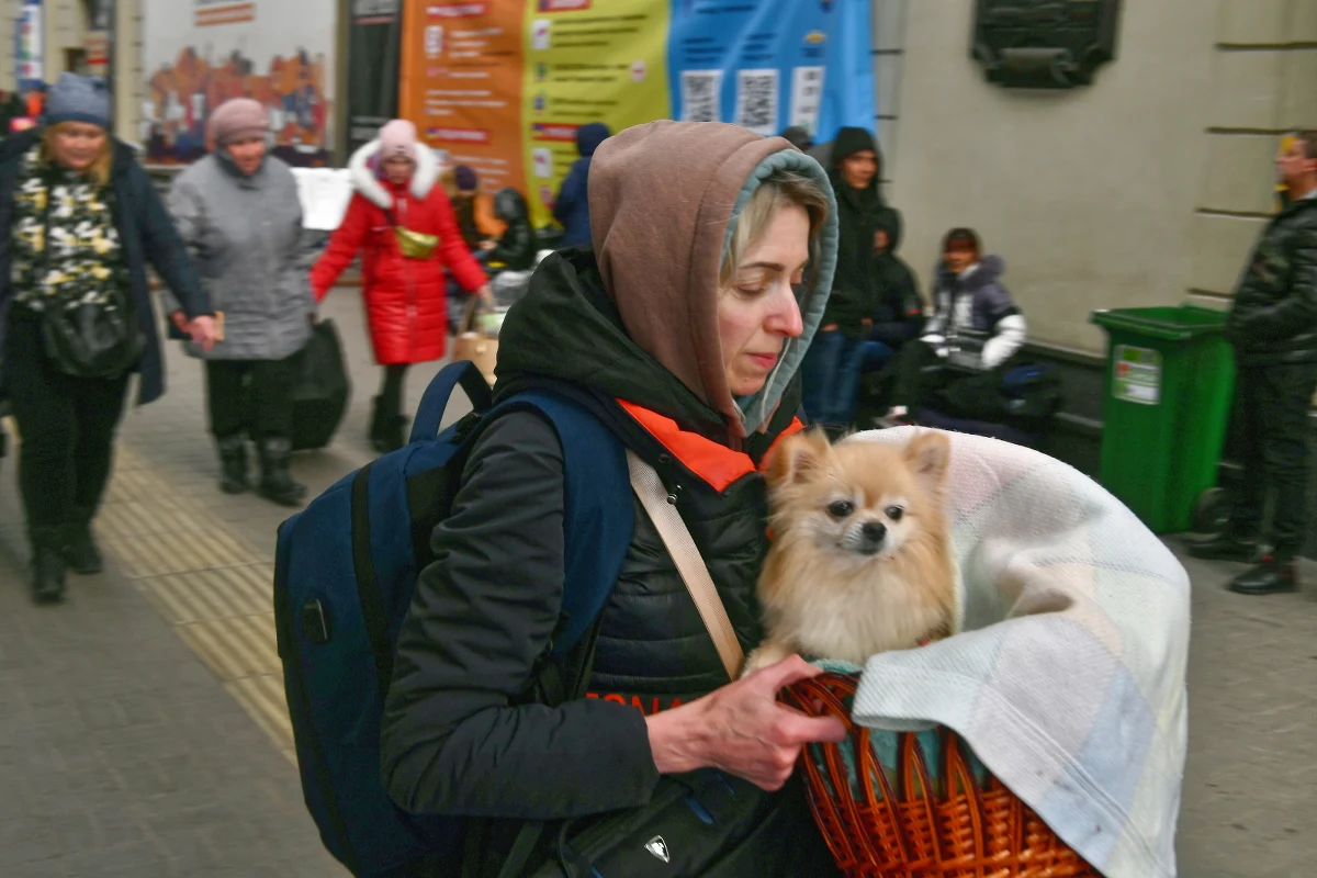 Pociąg z uchodźcami w najbliższych dniach skierowany może zostać do Radomia. Miasto i powiat przygotowują się na przyjęcie dużej grupy obywateli Ukrainy. Miejsca noclegowe szykowane są m.in. w Miejskim Ośrodku Sportu i Rekreacji, a także w budynku byłej szkoły.