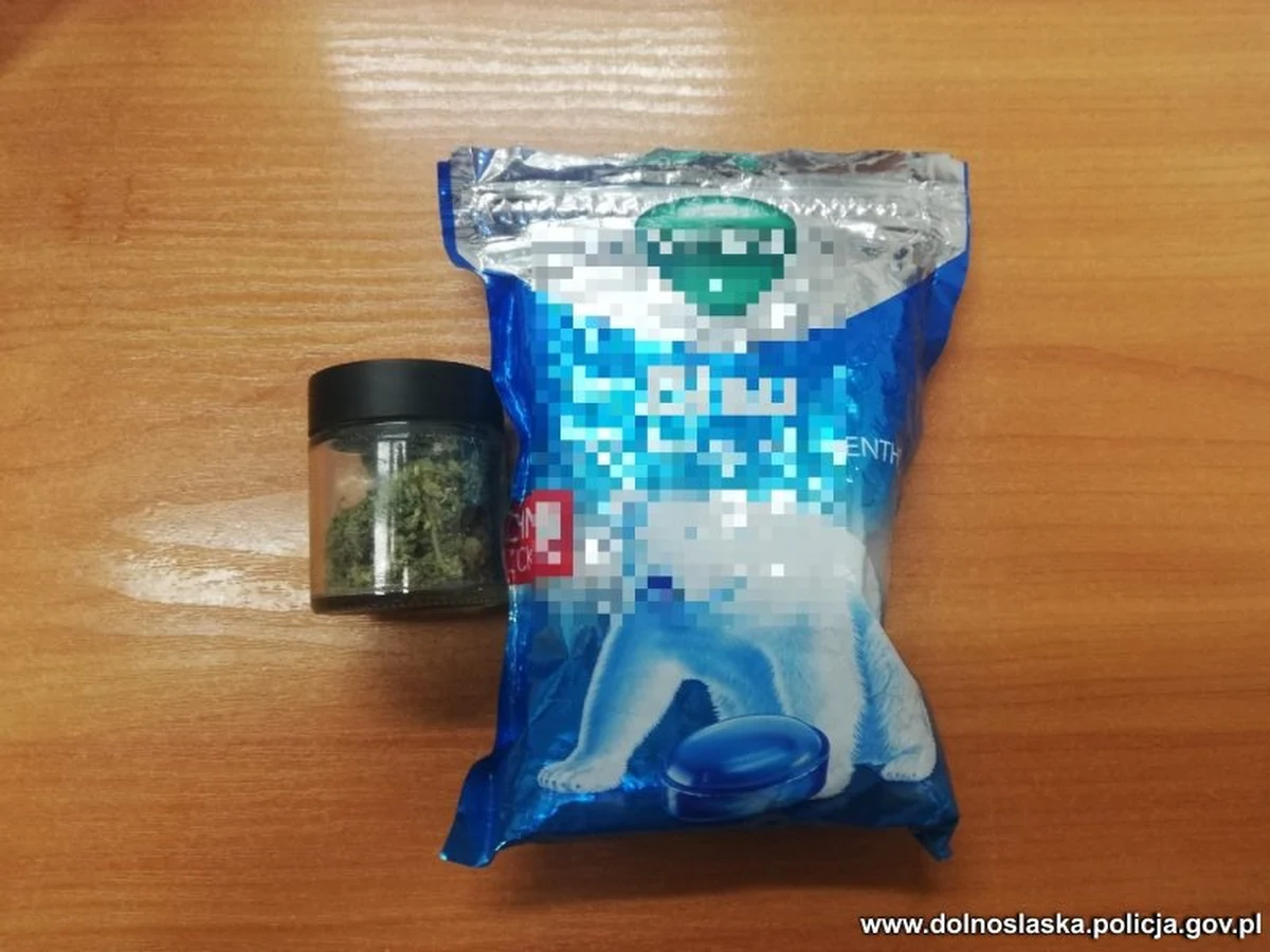 2 tys. porcji handlowych amfetaminy posiadał 44-latek zatrzymany przez policjantów z powiatu kłodzkiego na Dolnym Śląsku. Narkotyki ukryte były w zamrażarce między pierogami. Podejrzanemu może grozić teraz kara do 10 lat więzienia.