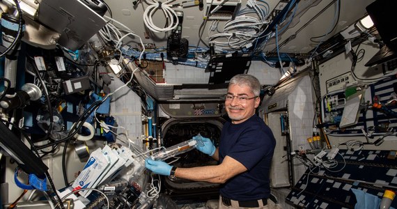 Mimo agresji na Ukrainę, amerykańska agencja kosmiczna NASA zapewniła, że nadal będzie współpracować z Rosją w ramach misji na Międzynarodowej Stacji Kosmicznej (ISS). "Współpracujemy od 20 lat i nadal będziemy to robić" - zapewnił Joel Montalbano, szef programu NASA ds. ISS.