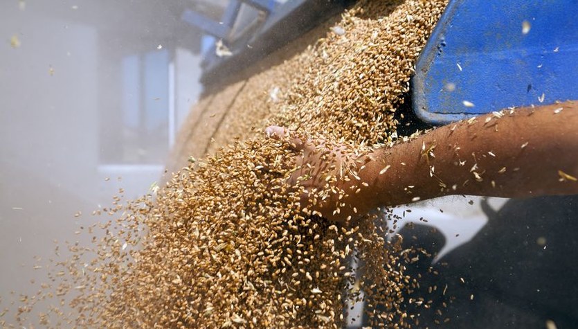 Los precios del trigo superaron los 2000 PLN por tonelada