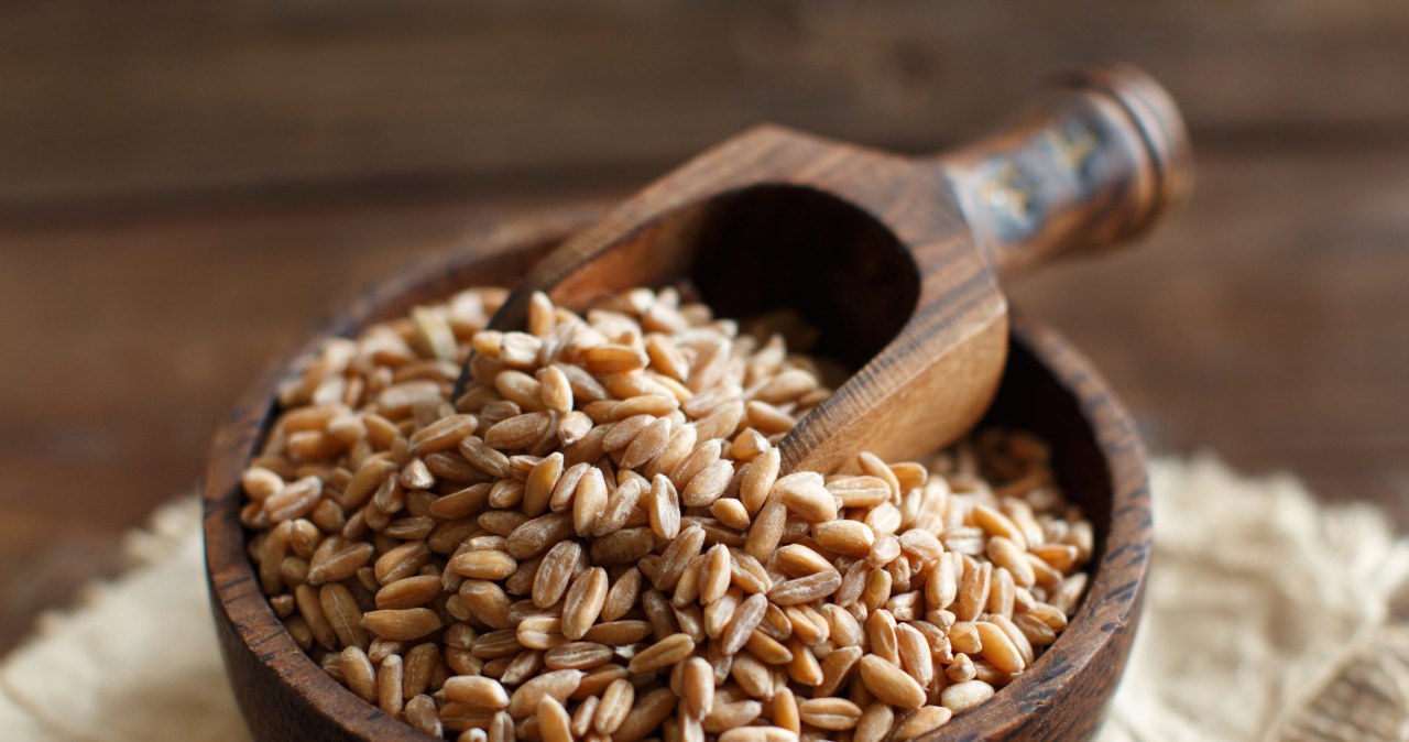 Zapomniana kasza wraca do łask. Dobra na nadciśnienie i problemy z wagą